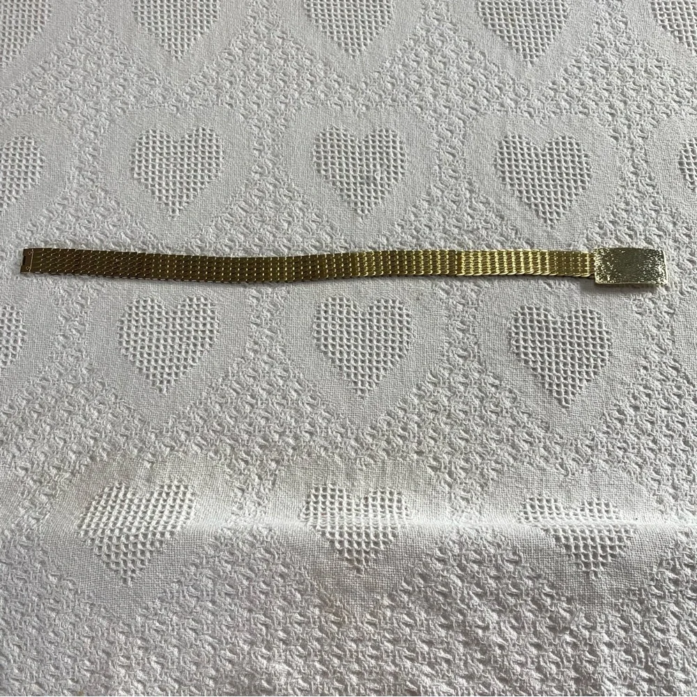 Vintage Scaley Belt